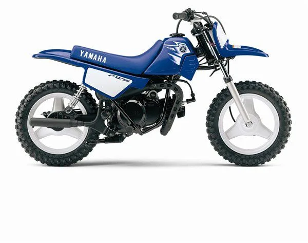 Kit déco REPLICA PW 50 2007