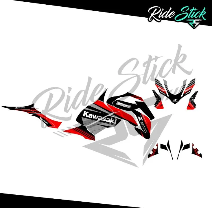 kit déco cup kawasaki z900